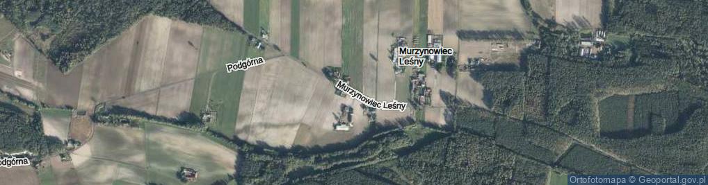 Zdjęcie satelitarne Murzynowiec Leśny ul.